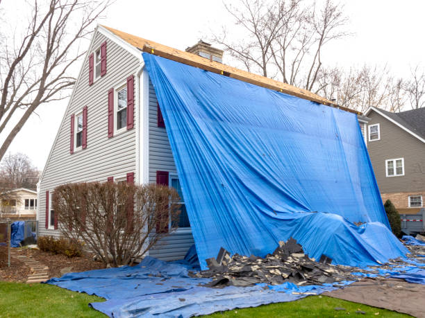 Best Demolition Debris Removal  in Llington, MI